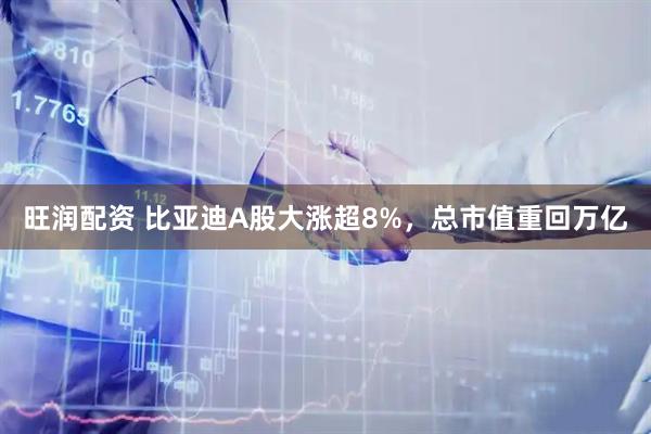 旺润配资 比亚迪A股大涨超8%，总市值重回万亿