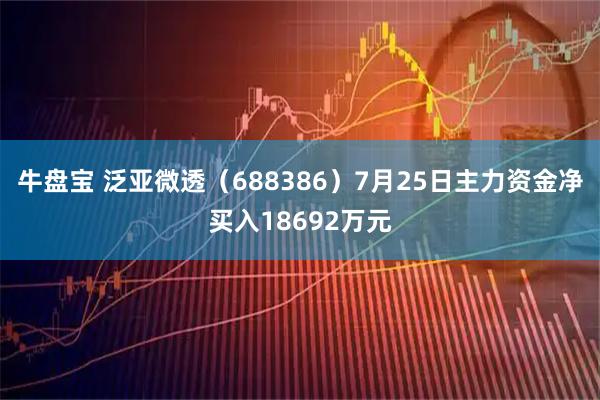 牛盘宝 泛亚微透（688386）7月25日主力资金净买入18692万元