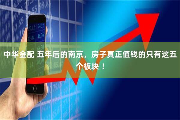 中华金配 五年后的南京，房子真正值钱的只有这五个板块 ！