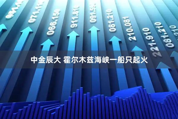 中金辰大 霍尔木兹海峡一船只起火